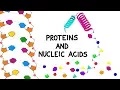 Proteins and Nucleic Acids
