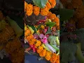 Download Lagu Shiv bhajan | bholenath | koi laya phool ki mala |