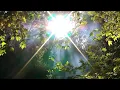 Download Lagu The most Beautiful Music, enveloping the soul with a gentle warmth... Melody-Sunny morning! Listen