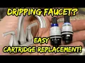Pfister Sink Cartridge Replacement in MINUTES EASY leak fix