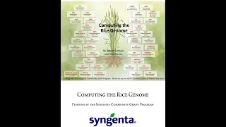 Rice Genome Data Analysis 