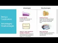 Financial Accounting Chapter 10 Stockholders Equity