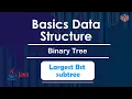 Largest Bst subtree Binary Tree In English Java - 20