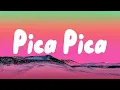 Download Lagu Juan Reza - Pica Pica (Lyrics)
