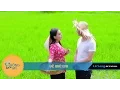 Lagu VỀ QUÊ EM - Lê Sang - Lưu Ánh Loan