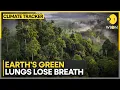 Study: Australia's Rainforests Release More Carbon Than They Absorb | WION CLIMATE TRACKER