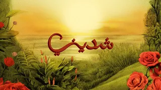 TUL8TE Shedeeny I تووليت شديني  TUL8TE Shedeeny I تووليت شديني