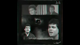 راحل عمرو دياب 