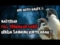 Download Lagu MASTERAN FULL TEMBAKAN SADIS || GEREJA SAMBUNG KUNTILANAK !!
