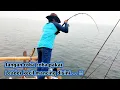 Download Lagu Barbar !! Ikan disini tenaganya bikin saya kewalahan || Mancing di bagan popay F04