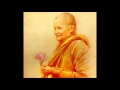 Lagu Chỉ Là Một Cội Cây - Thiền Sư Ajahn Chah
