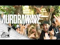 Download Lagu Aurorawave - One Last Breath -  Creed Cover (Live Music) | Sugarshack Sessions