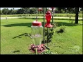 Download Lagu 08-31-2025 Rural Hazleton, Iowa - Hummingbird Swarm