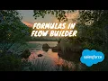 Formulas in Salesforce Flow Builder If Statements Case Statements and Boolean Formulas