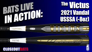 Closeoutbats com Victus Vandal 2- Big Barrel USSSA Bat VSBVX8 - 8oz 2021