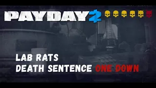 Payday 2 Lab Rats DSOD -