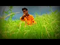 Download Lagu छाती ठोकून सांगतो मी पिल्लू मागांच