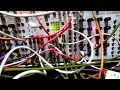 8Bit Cipher Celluar Automata Generative