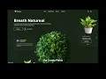 Responsive Planto Ecommerce Website with React Vite TypeScript Tailwind CSS