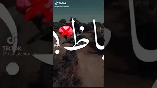 قلبي ساب و عقل باظ و خاب  قلبي ساب و عقل باظ و خاب