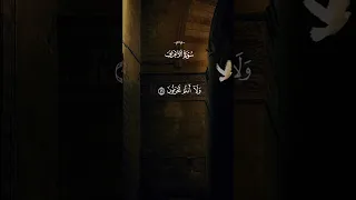 ادخلو الجنة لا خوف عليكم  سورة الاعراف  سعد الغامدي                 دندنها