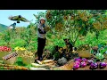 Download Lagu Harvest: Longan, Kohlrabi, Radish, Banana, Sugarcane To Sell At The Market, Cook, Garden