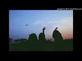 NOVO AMOR - Callow