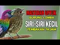 SIRI SIRI KECIL TEMBAKAN PEDAS DAN TAJAM