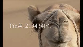 ميحد حمد عن الكثير الصدق بيسد جودة عالية 