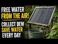 The Forgotten Night Dew Trick That Cuts Summer Watering Without Electricity