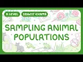 A-Level Biology - Sampling Animal Populations Mark-release-recapture Technique exams