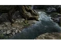 Procedural River Nature Scene WIP