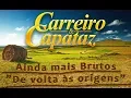 Download Lagu Carreiro e Capataz - Doutor e o Caipira