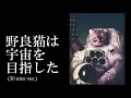 Download Lagu 【30分耐久フリーBGM】野良猫は宇宙を目指した (The stray cat aimed for space) / しゃろう【公式】