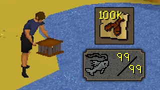 I spent 500 hours fishing 100 000 lobsters 2004