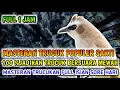 Download Lagu Masteran trucukan 1 jam Full Isian Ter populer, 100 % Jadikan Trucuk Anda Mewah