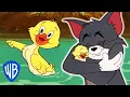 Download Lagu Tom \u0026 Jerry em Português | O Melhor do Patinho | Compilação de Animações Clássicas | WB Kids