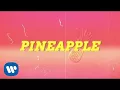 Ty Dolla $ign - Pineapple feat. Gucci Mane \u0026 Quavo [Lyric Video]