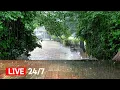 Download Lagu Rustgevende regengeluiden om direct in slaap te vallen - Verlicht slapeloosheid en oorsuizen, slaap