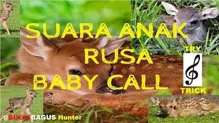 suara anak rusa deer baby call sound trick hunt