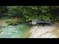 Download Lagu Camping fishing hujan deras di spot baru tengah hutan kalimantan ikan melimpah 