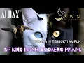 Download Lagu SP KING BIRAHI VS DAENG PIRANG 2025