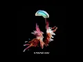 Sub Focus - I Found You ft. Hayla (Studio Acapella)