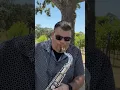 Download Lagu Sax Sessions: What’s Going On- Marvin Gaye(Saxophone Cover)