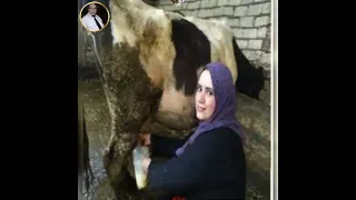 روائعه سيد درويش الحلوه دي قامت تعجن في ألبدريه 