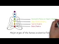 WHAT IS A CHAKRA? EXPLAINED IN 60 SECONDS!