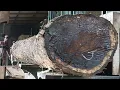 Wood processing plant || The unmatched beauty of casual style log cutting