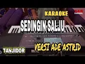 Download Lagu Karaoke sedingin salju - Versi tanjidor ade astrid - nada wanita