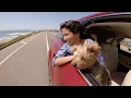 Dear Diary I Love My Lexus RX 350L Lexus Carlsbad