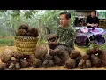 Lagu Xabi harvests unique purple wild taro, preparing delicious dishes from the mountains and forests.